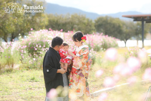 長野県コスモス結婚写真