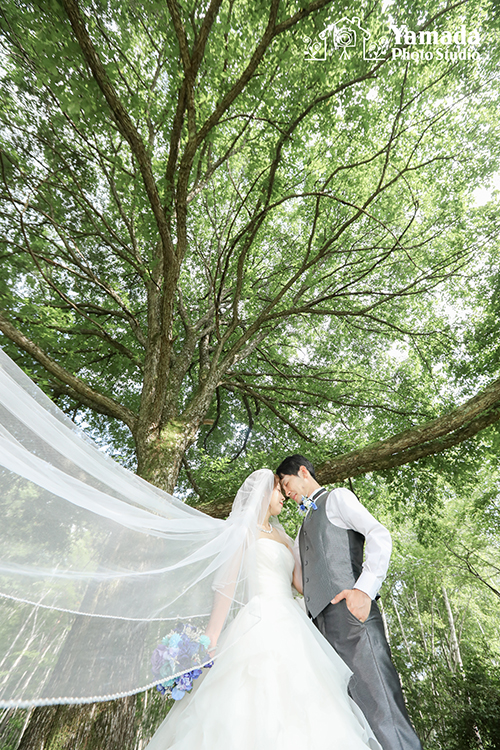 信州結婚写真山