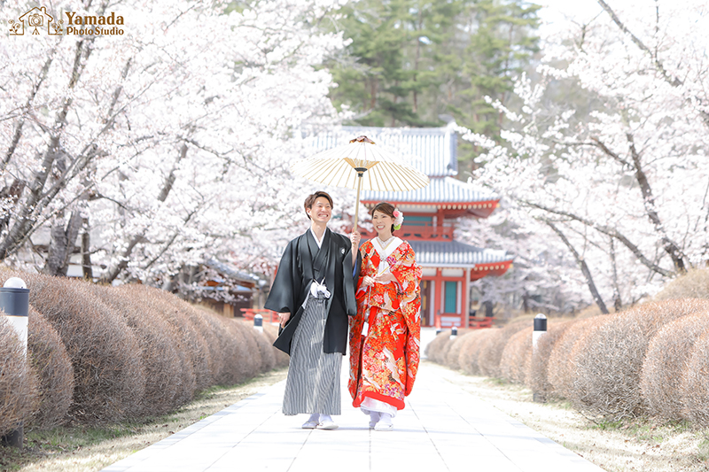 聖光寺桜前撮り